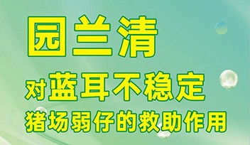 園蘭清對藍(lán)耳不穩(wěn)定豬場弱仔的救助作用！