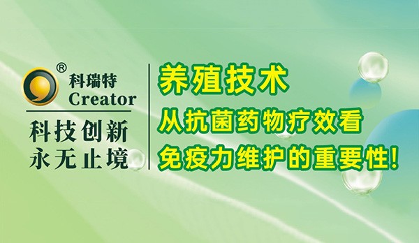 養(yǎng)殖技術｜從抗菌藥物療效看免疫力維護的重要性！